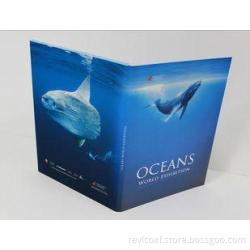 portable Large memory Video Business Card with touch / rech